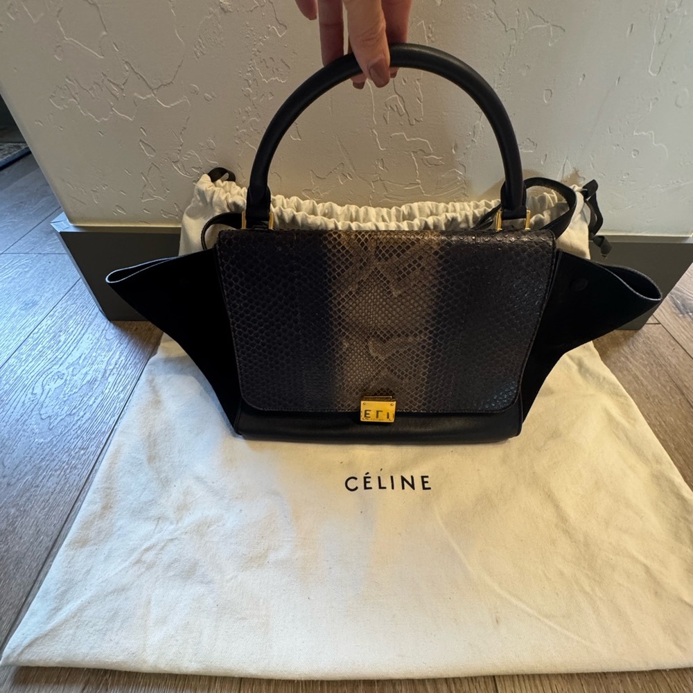 Celine Python Trapeze Bag with shoulder strap - image 1